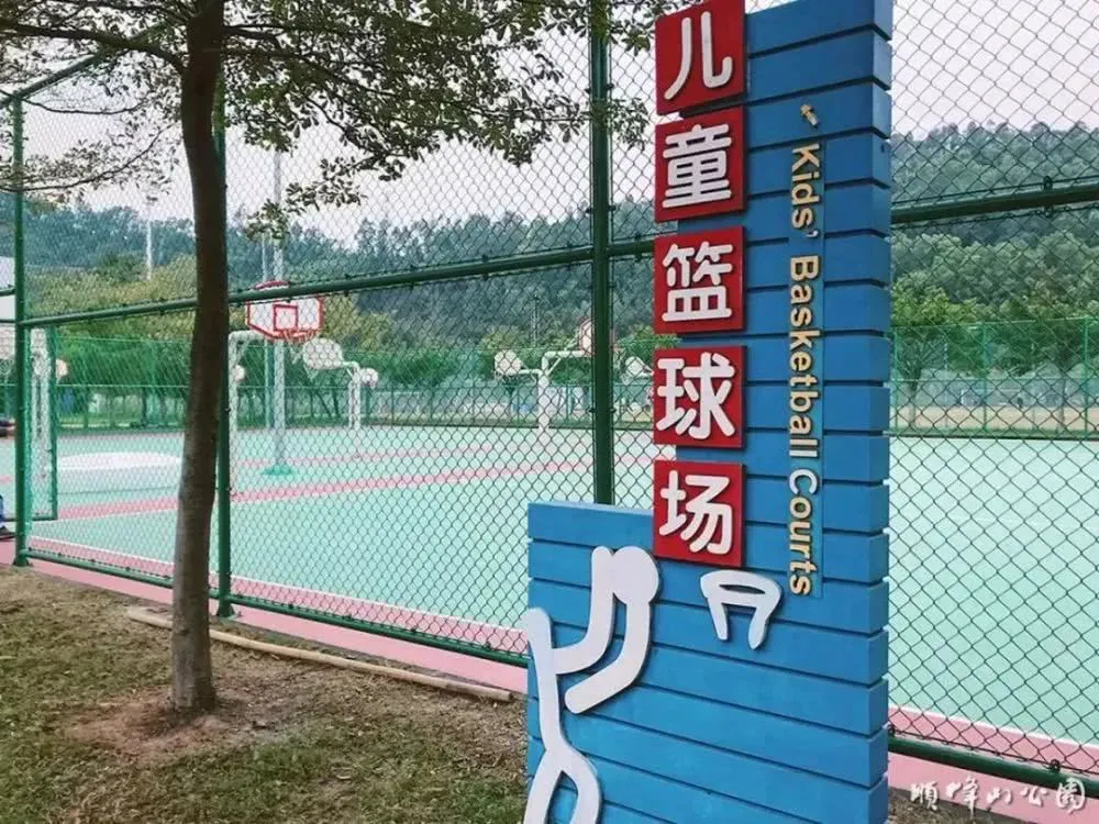 为什么篮球不同位置需要不同的训练重点_2